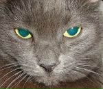 Фотография Всякой Рыбы