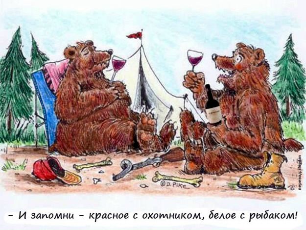 Дмитрий Петрович фото №1