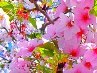 Ірина Васьо фотография #16 (источник - https://vk.com/id150632475)