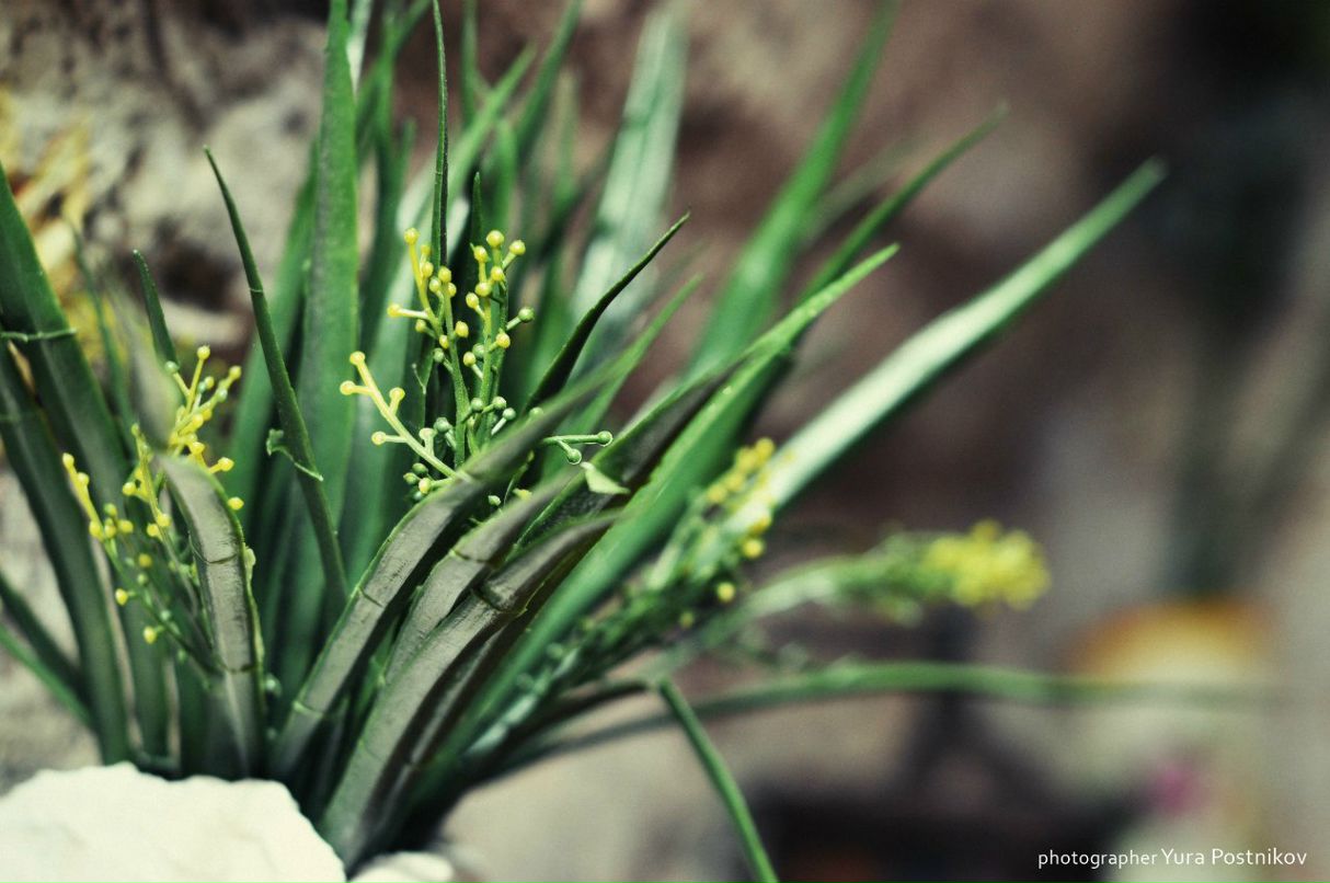 Юра Постников фотография #10