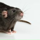 Дмитрий Шилейн фотография #34 (источник - https://vk.com/id8553509)