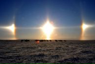 Мариам Давыдова фотография #7 (источник - https://vk.com/id900346)