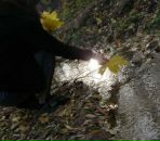 Фотография Смирнов Михаил