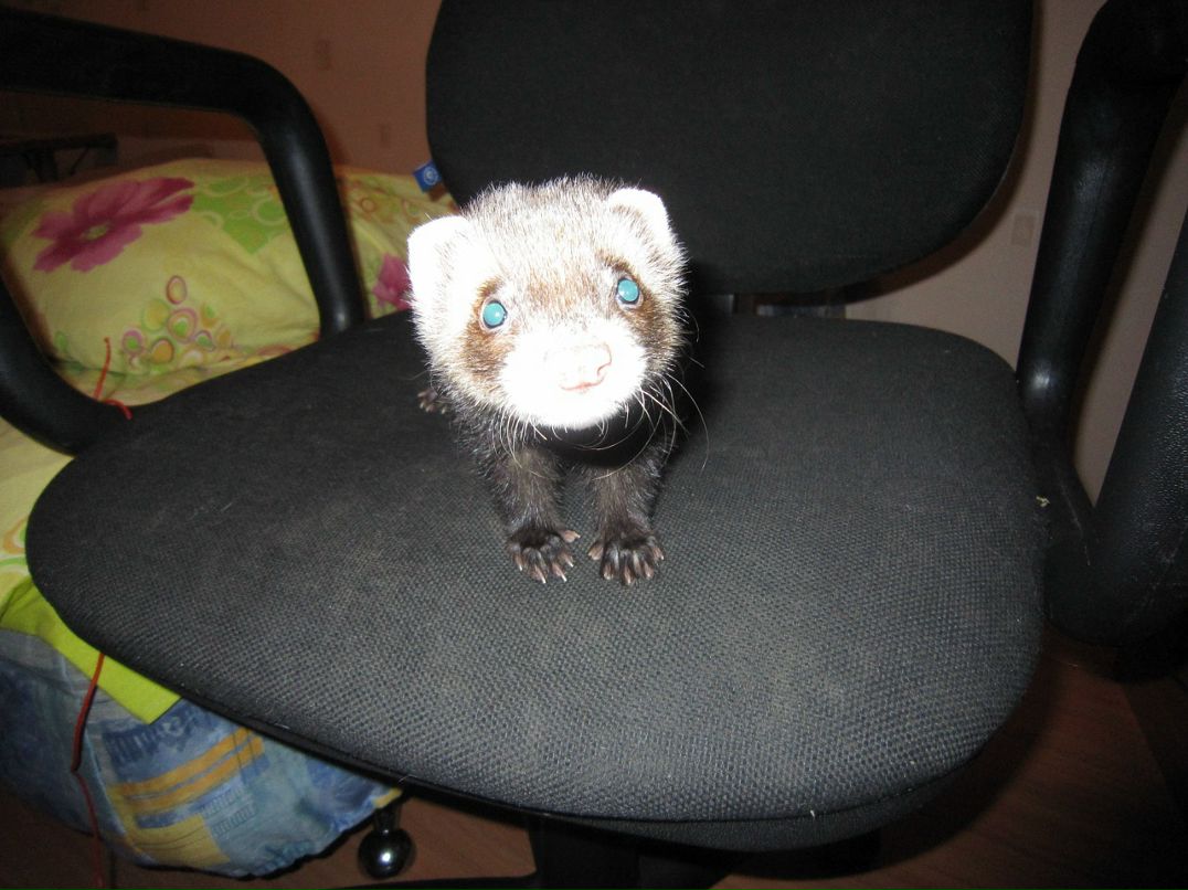 Sergey Serkov фотография #44