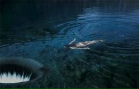 Фотография Довбни Оксаны