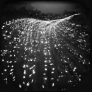 Фотография Golovina Yana