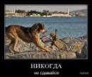 Володимир Іванець фотография #37 (источник - https://vk.com/id8035163)