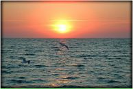 Андрій Гірак фотография #50 (источник - https://vk.com/id77108009)