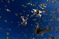 Мариам Давыдова фотография #46 (источник - https://vk.com/id900346)