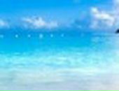 Дмитрий Грязнов фотография #4 (источник - https://vk.com/id478663)