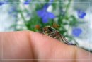 Міша Злий фотография #47 (источник - https://vk.com/id7133507)