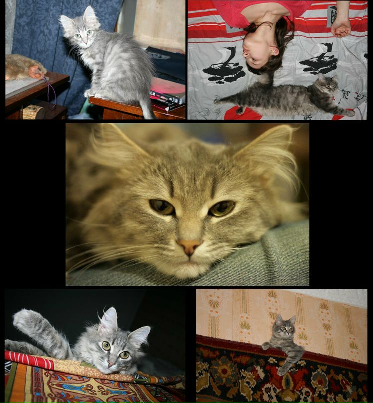 Дмитрий Шергин фотография #36