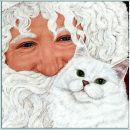 Фотография Царевой Анастасии