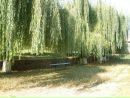 Северинівка Найкраща фотография #3 (источник - https://vk.com/id211637082)