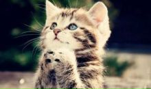 Фотография Ефремовой Ирины