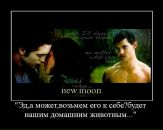 Александра Ярославская[♥love♥] фотография #18 (источник - https://vk.com/id99371978)