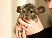 Фотография Ветровой Нины