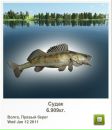 Андрій Жадан фотография #8 (источник - https://vk.com/id24173571)
