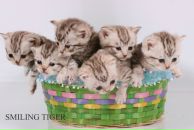 Фотография Оболкиной Елены