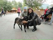 Фотография Сёмочкиной Оксаны