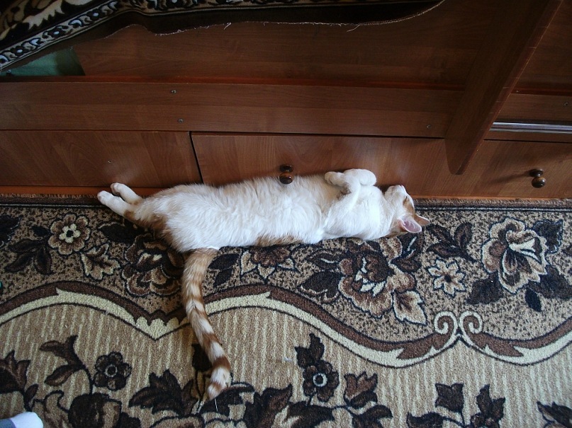 Ленчик Гончарук фотография #42