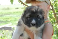 Фотография Крикунова Ивана