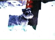 Андрей Разбаш фотография #50 (источник - https://vk.com/id4143399)