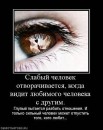 Фотография Соловьёва Тимохи