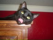 Igor Tarasov фотография #41 (источник - https://vk.com/id2694271)