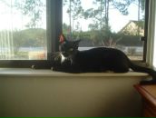 Igor Tarasov фотография #42 (источник - https://vk.com/id2694271)