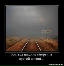 Вова Осадчук фотография #30 (источник - https://vk.com/id36641758)