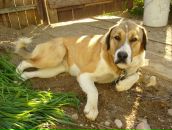 Фотография Юр Анюты