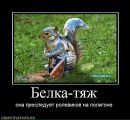 Фотография Arr Arrek
