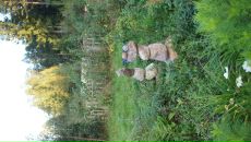 Дмитрий Крамарев фотография #28 (источник - https://vk.com/id274882)