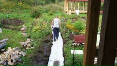 Дмитрий Крамарев фотография #6 (источник - https://vk.com/id274882)