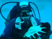 Фотография Соколовского Александра