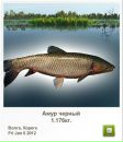 Ріхард Козьма фотография #13 (источник - https://vk.com/id133594969)