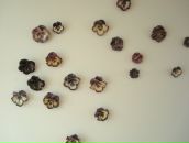 Міша Копча фотография #40 (источник - https://vk.com/id80909677)