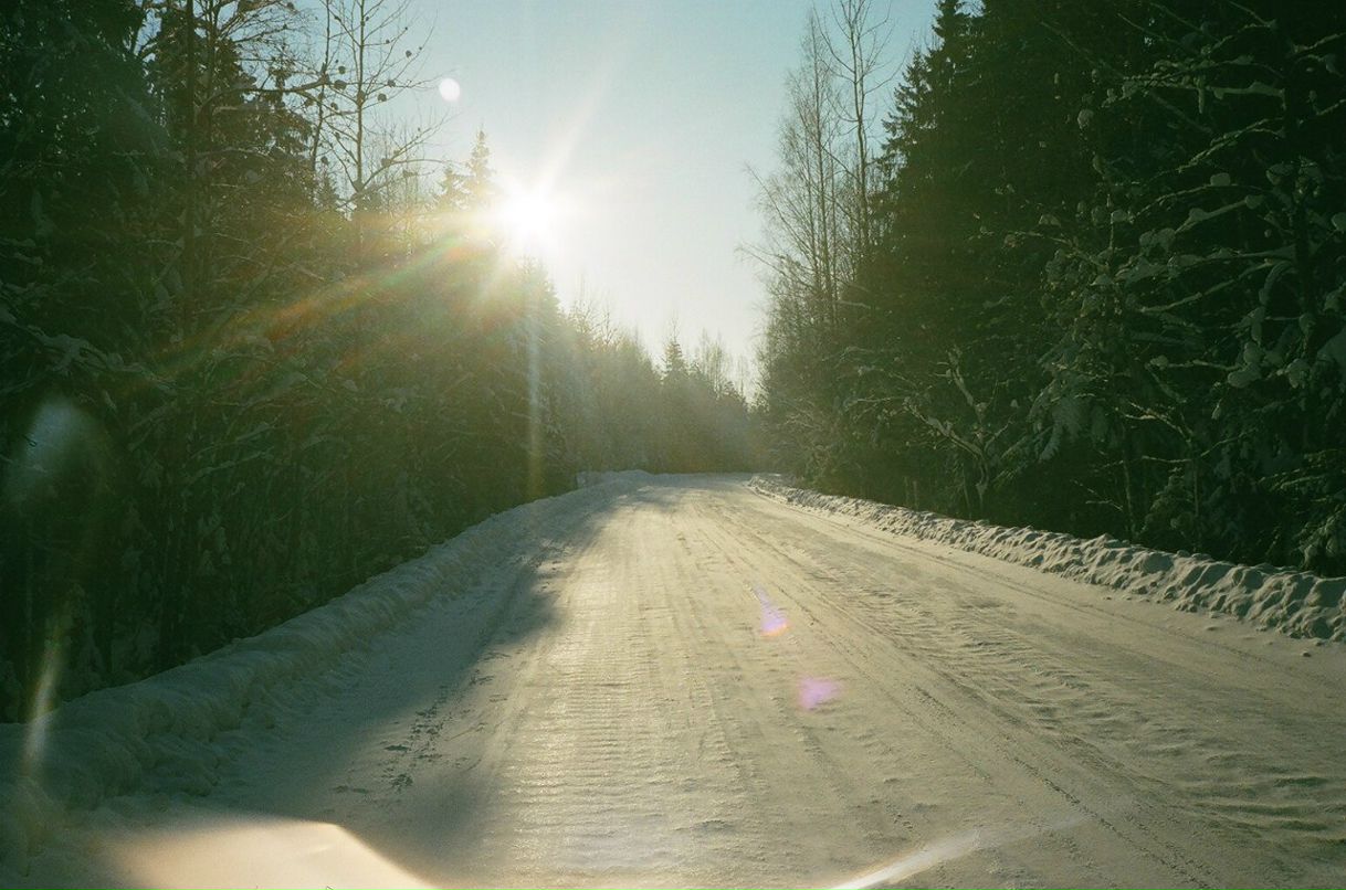 Paulina Dernova фотография #29