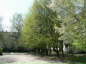 Перевізник Соломия фотография #20 (источник - https://vk.com/id97876422)