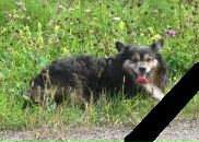 Фотография Futureman John