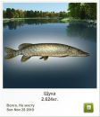 Василий Мыс фотография #28 (источник - https://vk.com/id31481818)