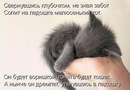 Олександр Улізько фотография #44 (источник - https://vk.com/id136093176)