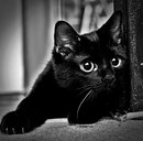 Фотография Северной Юлианы