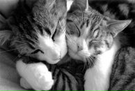 Фотография Шалашовой Натальи