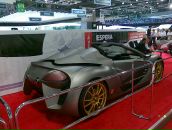 Kot Пушкин фотография #49 (источник - https://vk.com/id6049307)