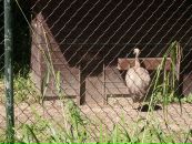 Віка Богатюк фотография #37 (источник - https://vk.com/id77462187)