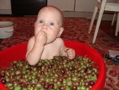 Фотография Дементьева Андрея