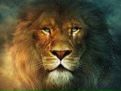 Фотография Овчинниковой Виты