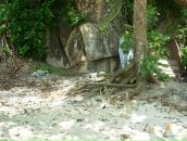 Валерий Иванов фотография #13 (источник - https://vk.com/id3000426)